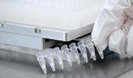 液氮凍（dòng）幹珠小球的自動化分裝（zhuāng）