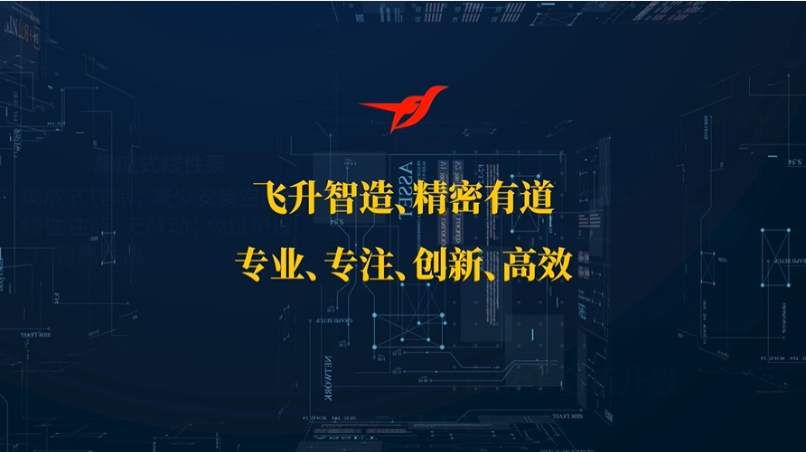 廣州飛升幾款注液（yè）泵快速介紹